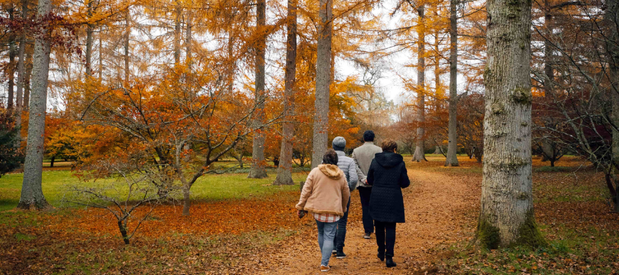 Chestnuts Bed & Breakfast - Visit the Cotswolds - Through a Guide's Eyes In & Beyond Bath